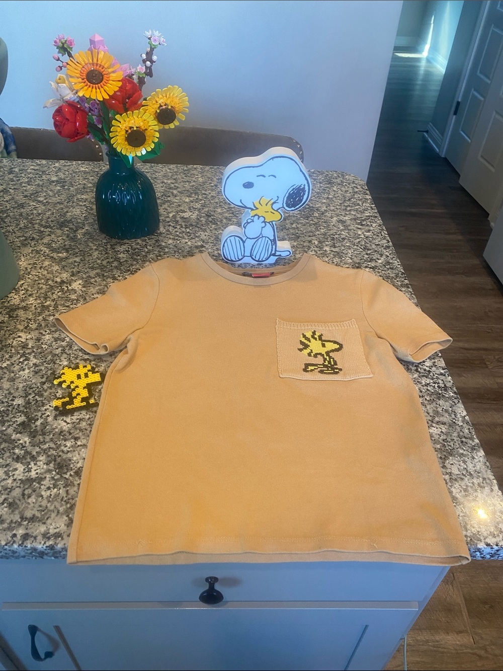 ZARA Peanuts Embroidered Short Sleeve Tee with Woodstock Pocket